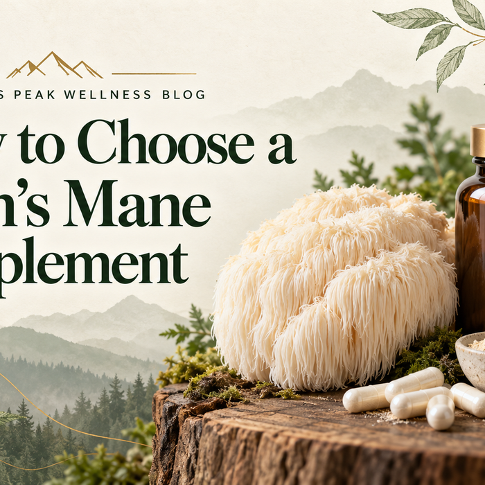 How to Choose a Lion’s Mane Supplement