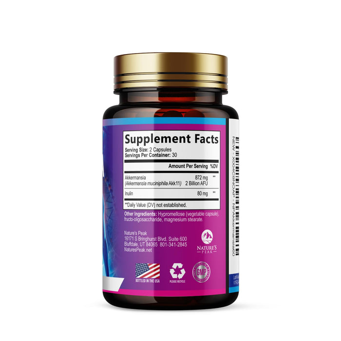 Akkermansia Probiotic with Prebiotic Fiber – 60 Count