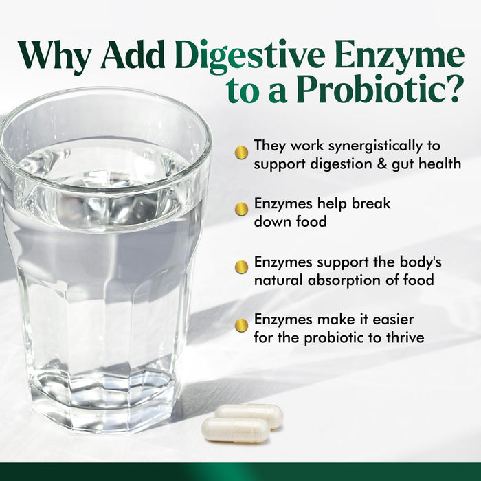 Daily Probiotic – 120 Billion CFU – 120 Count