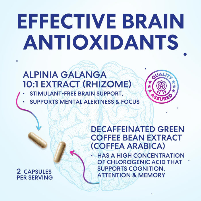 Brain & Focus Nootropic Formula – 60 Count