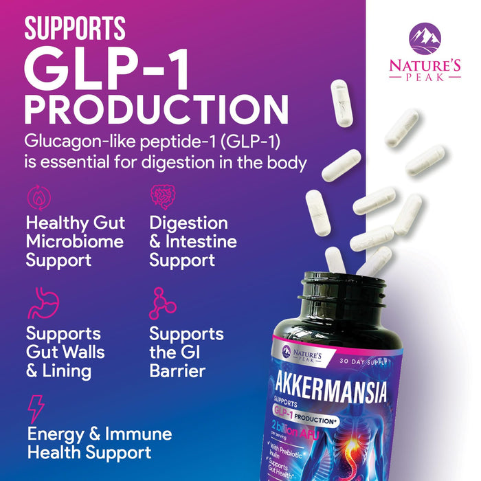 Akkermansia Probiotic with Prebiotic Fiber – 60 Count