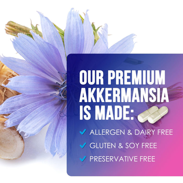 Akkermansia Probiotic with Prebiotic Fiber – 60 Count