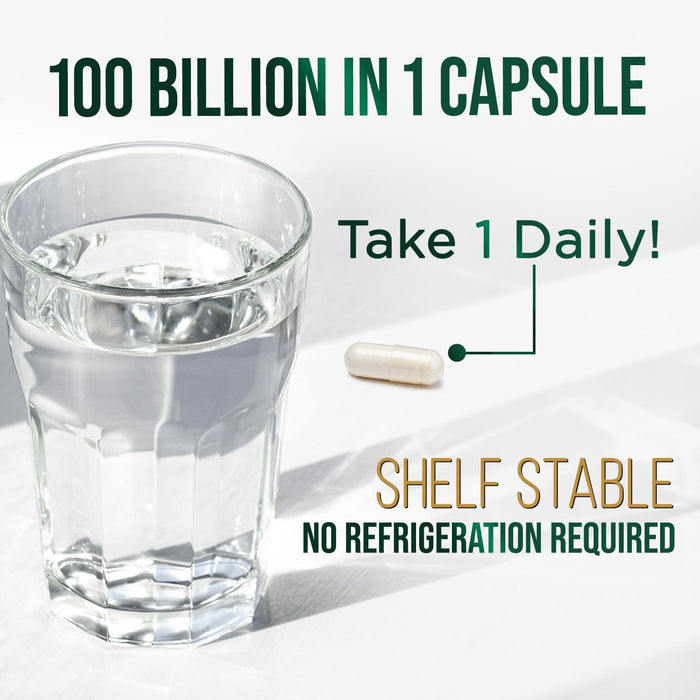 Daily Probiotic – 120 Billion CFU – 60 Count